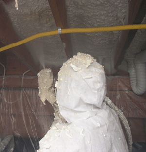 Spokane WA crawl space insulation